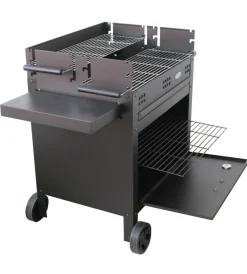 Barbecue- Barbecue a legna e carbone