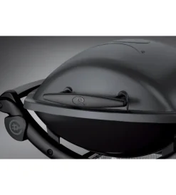 Discount Barbecue elettrico 
