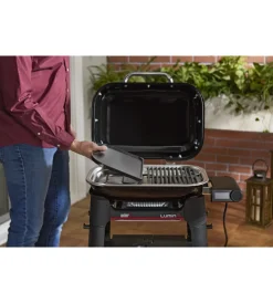 Barbecue-Weber Barbecue elettrico