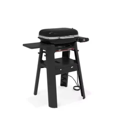 Barbecue-Weber Barbecue elettrico