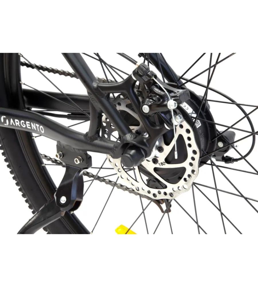 Bici Elettriche- Bici elettrica mountain bike mtb e-bike performance green con bluetooh- argento