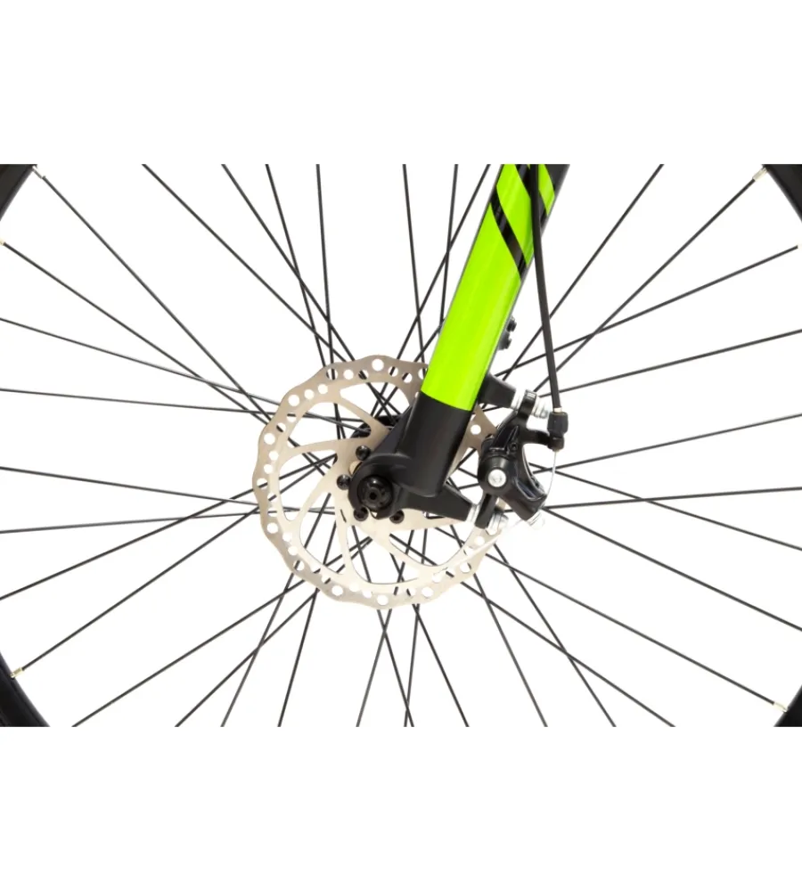 Bici Elettriche- Bici elettrica mountain bike mtb e-bike performance green con bluetooh- argento