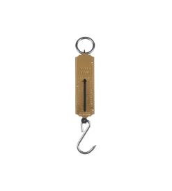 Strumenti Di Misurazione- Bilancia tascabile a molla 25 kg.