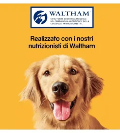 Pedigree Alimenti Secco Cane|Biscotti per cani