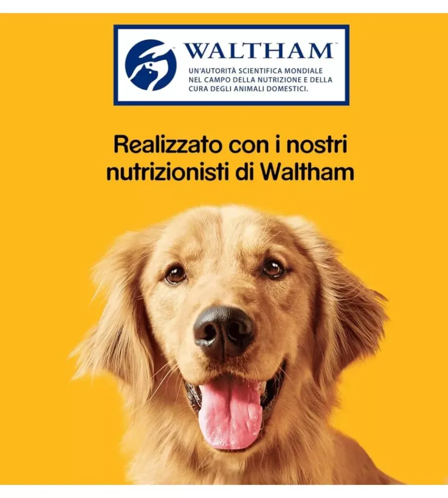 Best Biscotti per cani "biscrok multi mix" adulto di tutte le taglie con vitamine, calcio e omerga 3 500 gr Alimenti Secco Cane