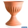 Coltivazione E Cura-Bama Calice alba d. 33 terracotta