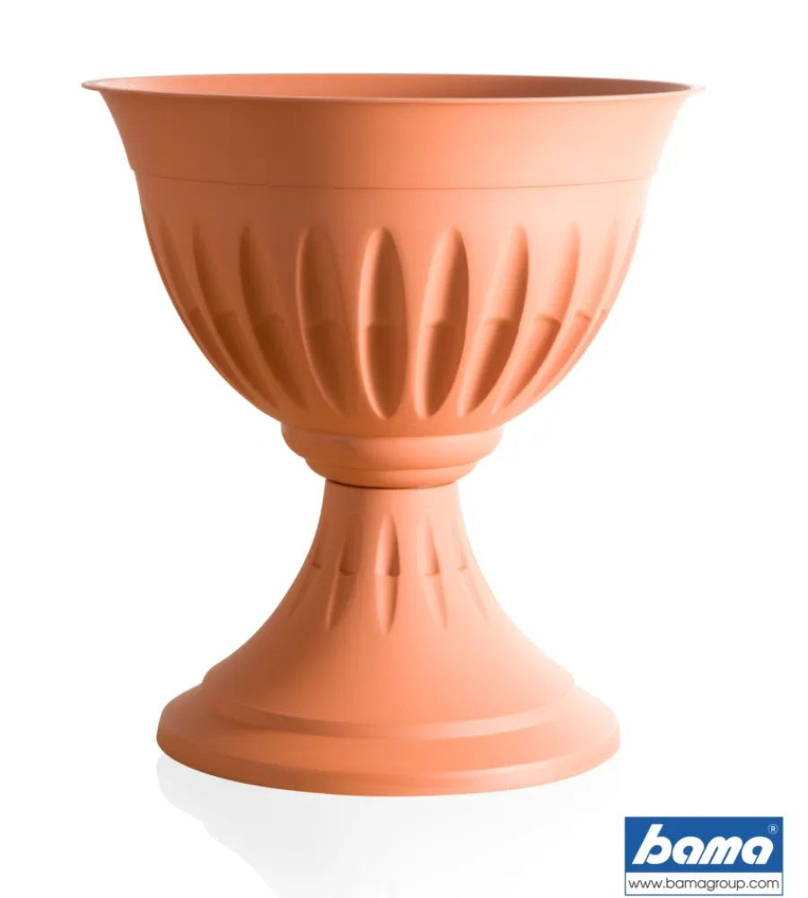 Coltivazione E Cura-Bama Calice alba d. 33 terracotta