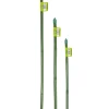 Verdemax Coltivazione E Cura|Canna bamboo plastificata h60cm