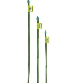 Verdemax Coltivazione E Cura|Canna bamboo plastificata h60cm