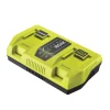 Outlet Caricabatterie doppio "ry36c2pa" 36v Batterie E Caricatori Per Macchine Giardinaggio