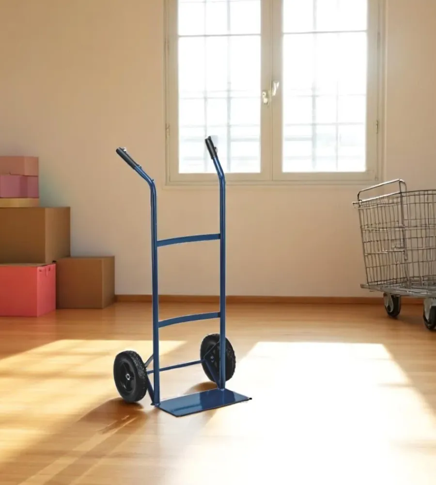 Attrezzatura Giardinaggio|Carrello trasporto essenza in acciaio portata 80 kg 38x48x100 cm