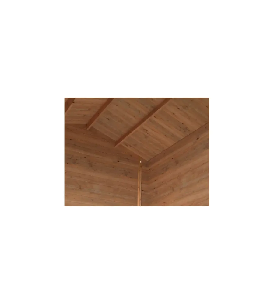 Casette Da Giardino|Casetta in legno da giardino "arisa" in abete impregnato 272x254x235 cm