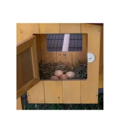 New Casetta pollaio per galline in legno