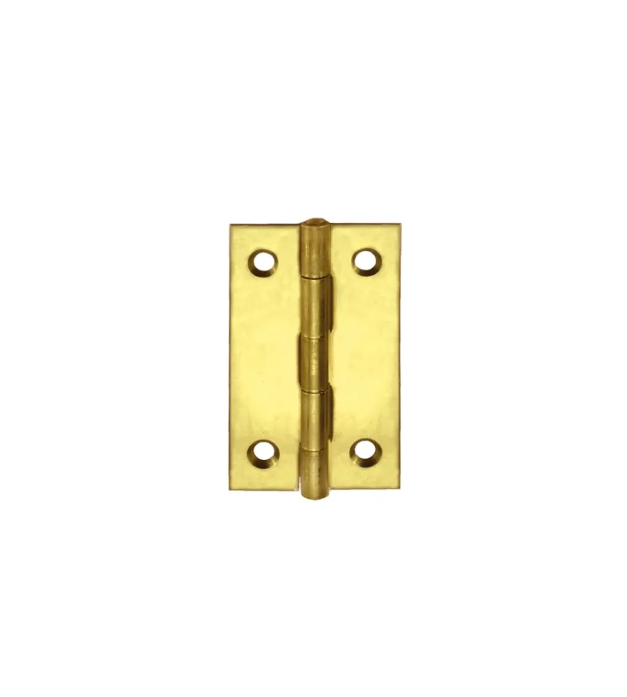 Ferramenta Per Mobili E Infissi- Cerniere per cofanetti - 15 x 25 mm. - ottonato - 6 pz.