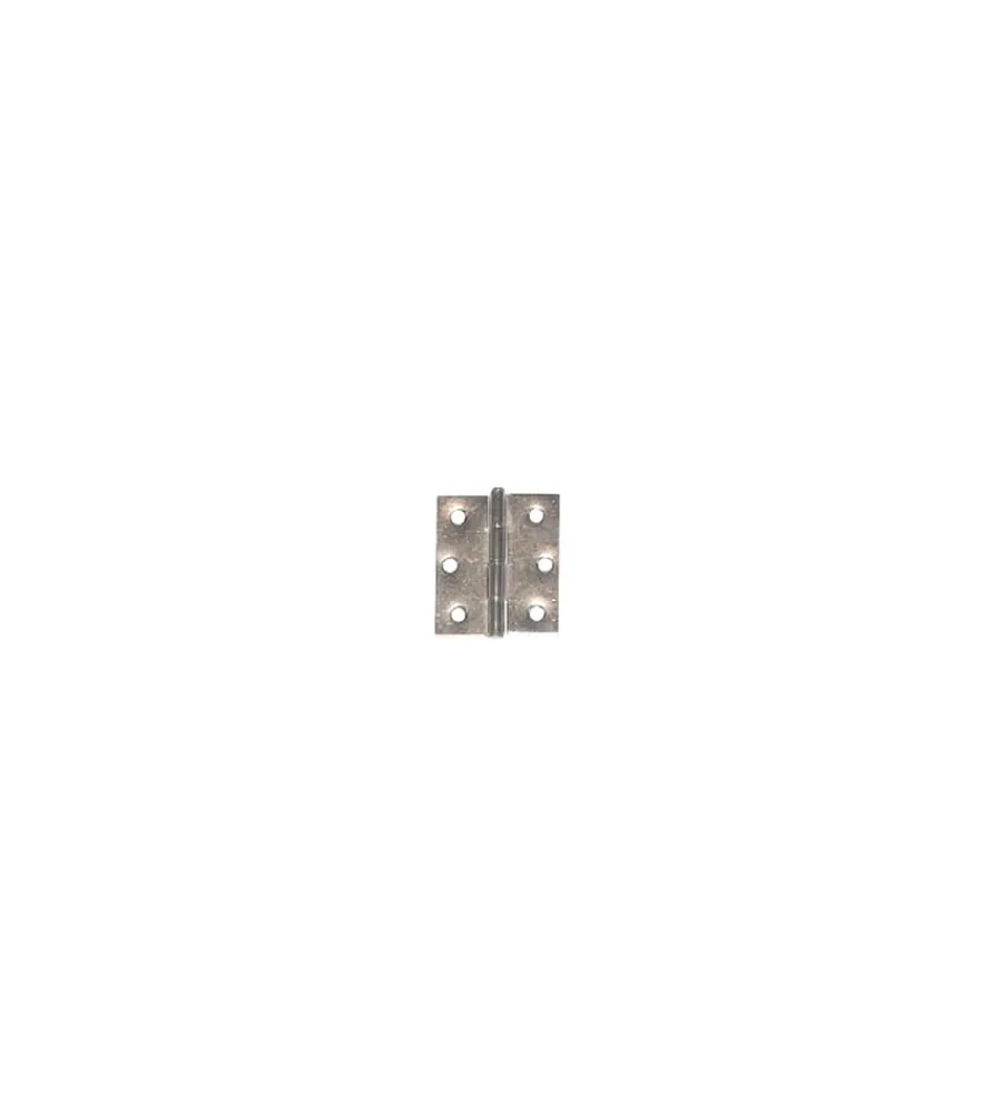 Serratura E Sicurezza- Cerniere spina fissa 30 x 50 mm. - zincate - 4 pz.