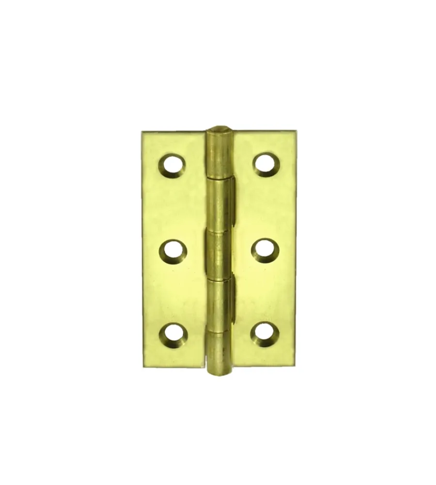 Serratura E Sicurezza- Cerniere strette 22 x 30 mm. - zincate giallo - 2 pz.