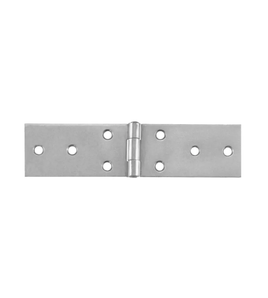 Serratura E Sicurezza- Cerniere strette lunghe inox 100 x 32 mm. - 2 pz.