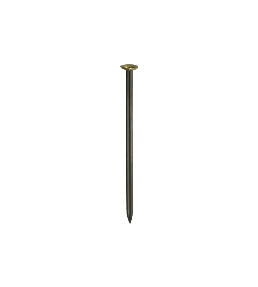 Sistemi Di Fissaggio- Chiodi testa ottone 2,5 x 50 - 30 pz.