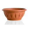 Discount Ciotola alba d. 20 terracotta Coltivazione E Cura