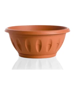 Discount Ciotola alba d. 20 terracotta Coltivazione E Cura