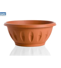 Discount Ciotola alba d. 30 terracotta Coltivazione E Cura