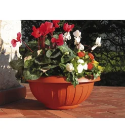 Discount Ciotola natura d. 45 terracotta Coltivazione E Cura