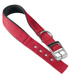 Best Collare in nylon c20/43 imbottito per cane - colore rosso. Guinzagli E Pettorine