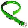Ferplast Guinzagli E Pettorine|Collare in nylon modello c20/43 imbottito per cane in colore verde.