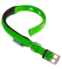 Ferplast Guinzagli E Pettorine|Collare in nylon modello c20/43 imbottito per cane in colore verde.