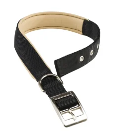 Ferplast Guinzagli E Pettorine|Collare in nylon modello ny cs500 morbido e imbottito per cane - nero.