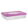 Sale Contenitore in plastica con coperchio "stagione" 60 litri Ordine E Sistemazione