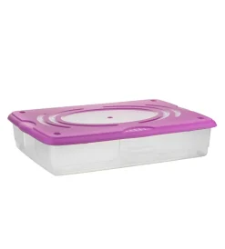 Sale Contenitore in plastica con coperchio "stagione" 60 litri Ordine E Sistemazione