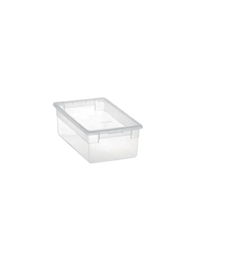 Ordine E Sistemazione|Contenitore multiuso con coperchio "light box s/2" trasparente 17,8x20,4x10 cm