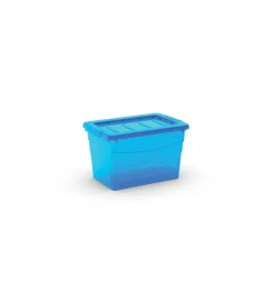 New Contenitore omnibox s azzurro Ordine E Sistemazione