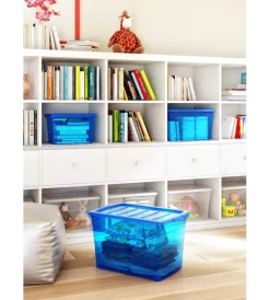 New Contenitore omnibox s azzurro Ordine E Sistemazione