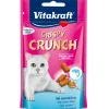 Outlet Crispy crunch al salmone - Stick