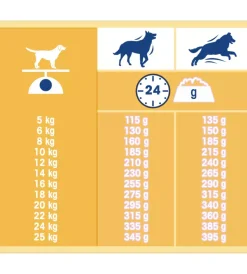 Alimenti Secco Cane-Purina Crocchette per cani "dog chow classic" adulto di tutte le taglie con pollo 10 kg