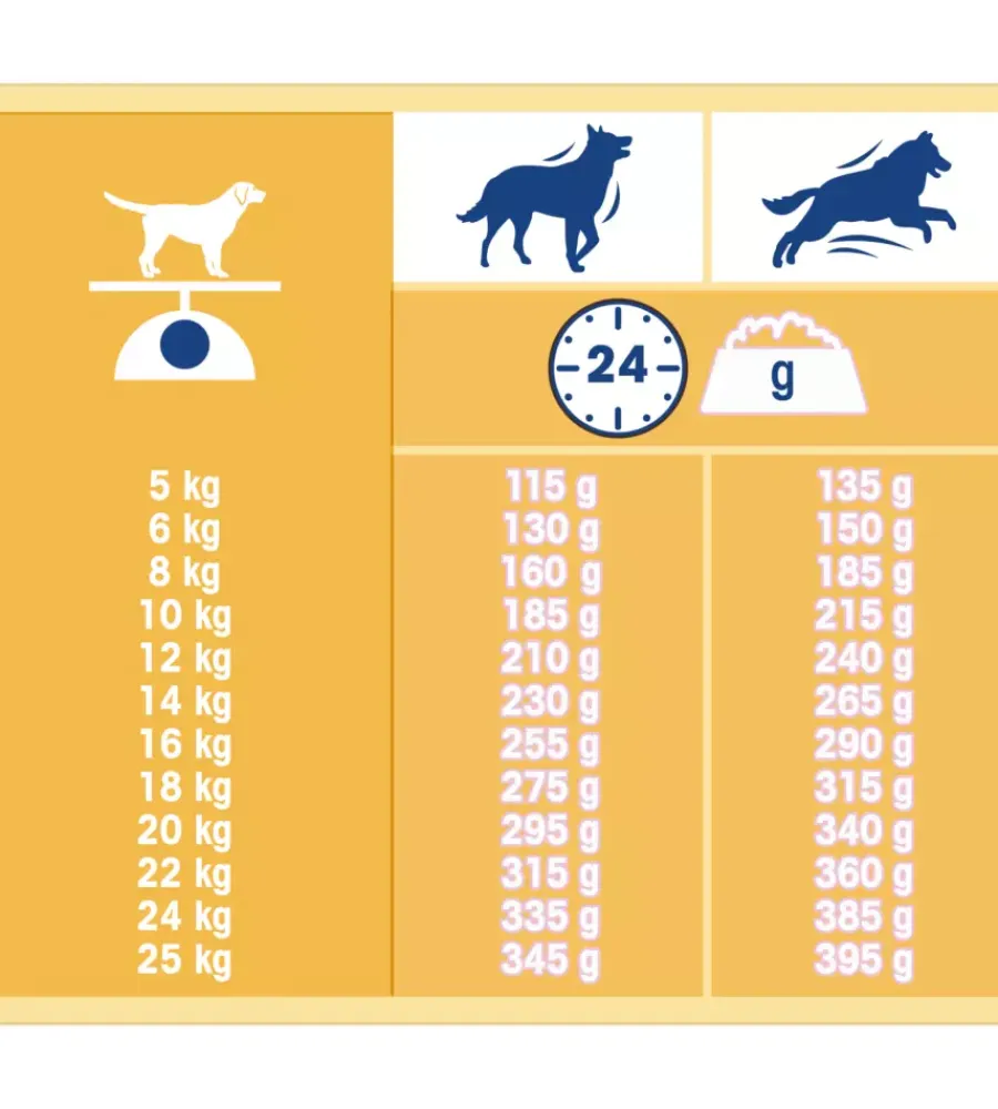 Alimenti Secco Cane-Purina Crocchette per cani "dog chow classic" adulto di tutte le taglie con pollo 10 kg