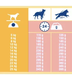 Online Crocchette per cani "dog chow classic" adulto di tutte le taglie con salmone 10 kg Alimenti Secco Cane