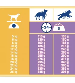 Best Crocchette per cani "dog chow classic" adulto di tutte le taglie con agnello 10 kg Alimenti Secco Cane