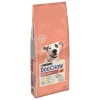 Hot Crocchette per cani "dog chow" adulto di tutte le taglie con salmone 14 kg Alimenti Secco Cane