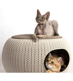 Clearance Cuccia chiusa per gatti e cani di taglia piccola 