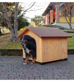 Outlet Cuccia per cani da esterno "domus maxi" in pino nordico 107,5x130x103 cm Cucce E Accessori Relativi