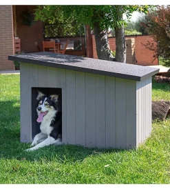 Hot Cuccia per cani da esterno 