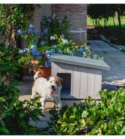 Cucce E Accessori Relativi-Ferplast Cuccia per cani da esterno "argo 60" in pino nordico 69,5x54,5x52 cm