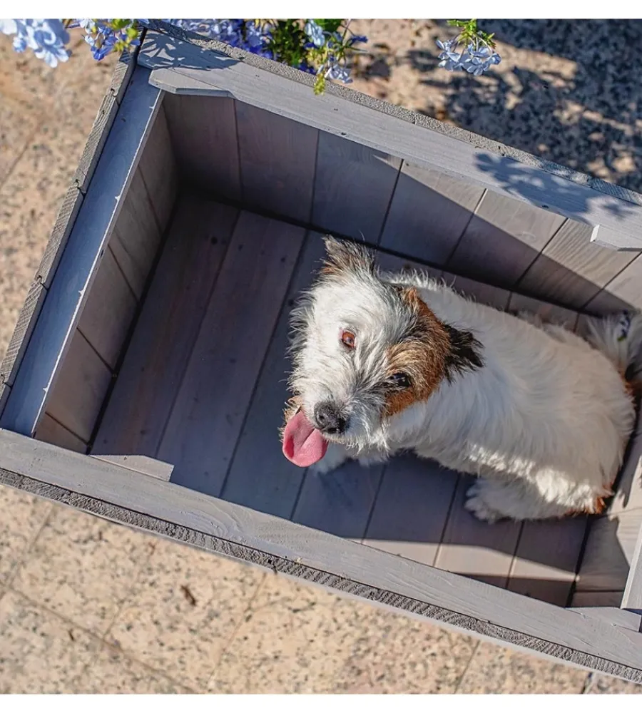 Cucce E Accessori Relativi-Ferplast Cuccia per cani da esterno "argo 60" in pino nordico 69,5x54,5x52 cm