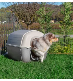 New Cuccia per cani da esterno