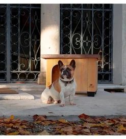 Ferplast Cucce E Accessori Relativi|Cuccia per cani da esterno "baita 60" in pino nordico 67x53x55,5 cm