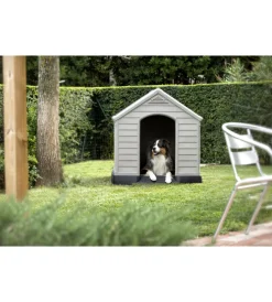 Cucce E Accessori Relativi-Keter Cuccia per cani da esterno 