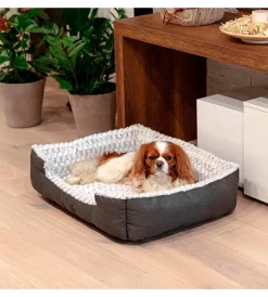 Ferplast Cuscini E Brandine|Cuccia per cani e gatti sweetie 70 -